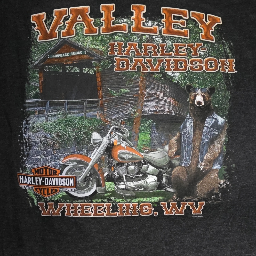 Harley-Davidson Valley Graphic Tee - Black and Orange